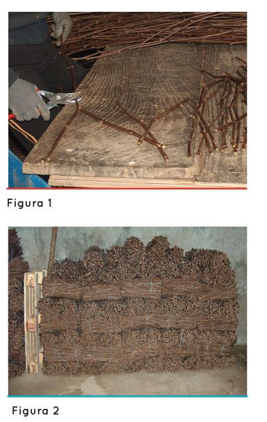 p78 fig3